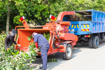 The Importance of Hiring Quality Tree Removal Experts